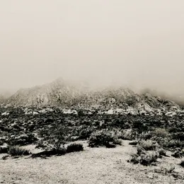Mnemonic: Ambient Mosaic von מזמור – Album Cover