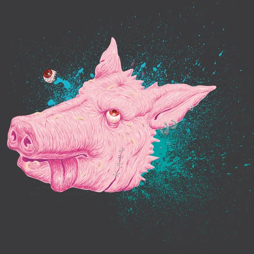 Cosmic Wanderer