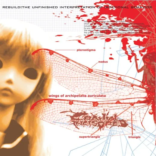 Rebuild: The Unfinished Interpretation of Irrational Behavior