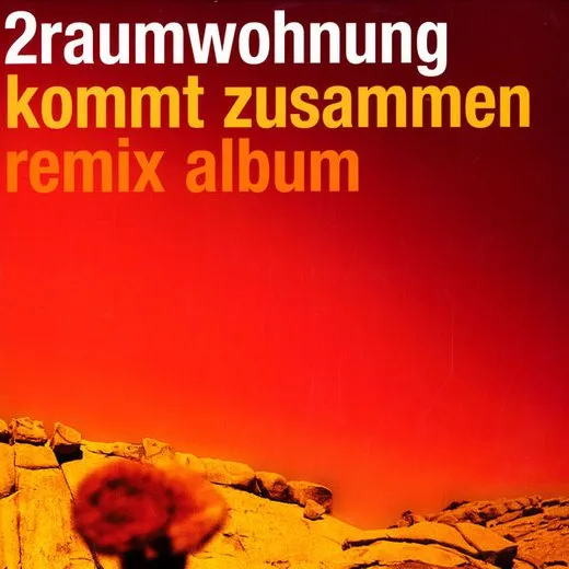 Kommt zusammen (remix album)