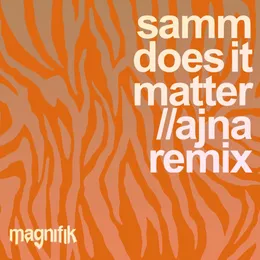 Does It Matter (Ajna remix) von Ajna (BE) – Album Cover