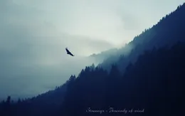 Threnody of Wind von Stvannyr – Cover