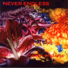 Never Endless von n.ever.endless – Album Cover