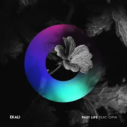 Past Life von Opia – Cover