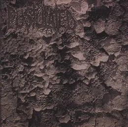 Profundo Frofui Profusum / Fecal Fistophile von Pustulated – Album Cover