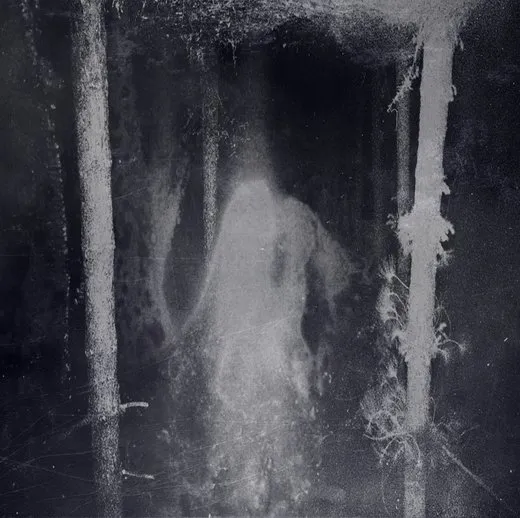 Enshrouded by the Veil of Night