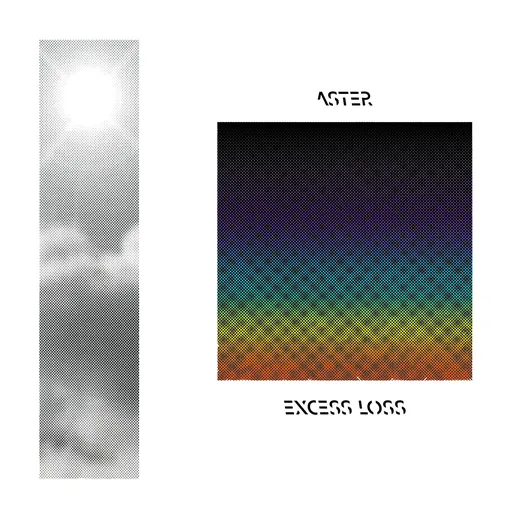 excess loss