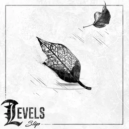 Slip von LEVELS – Album Cover