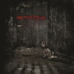 Methodical von Methodical – Album Cover