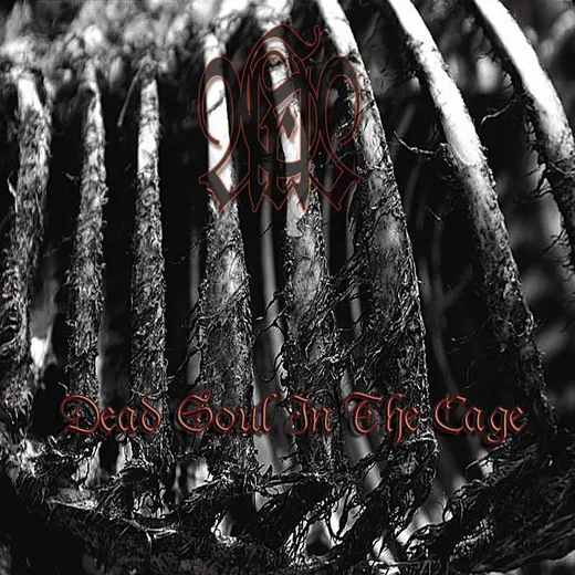 Dead Soul in the Cage