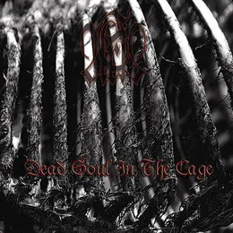 Dead Soul in the Cage von Aras – Album Cover