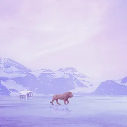 Blizzard von Notation – Album Cover