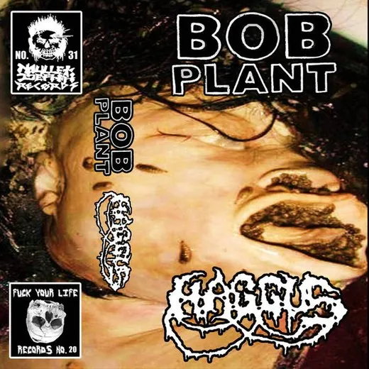 Bob Plant / Haggus