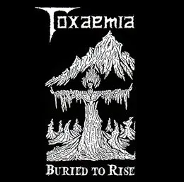 Buried to Rise: 1990–1991 Discography von Toxaemia – Album Cover