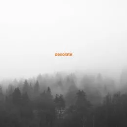 Exceptionalism von Desolate – Album Cover