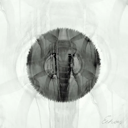 EXPEDITion, Vol. 3: Echoes