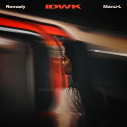 IDWK (acoustic version) von Remady – Cover