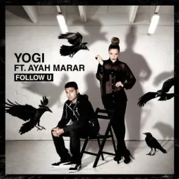 Follow U von Yogi – Cover