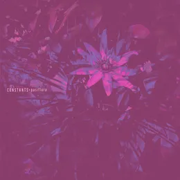 Pasiflora von Constants – Album Cover