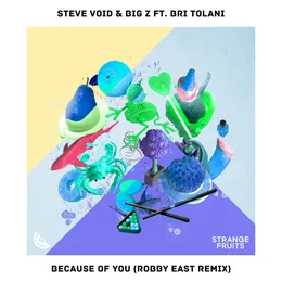 Because Of You (Robby East remix) von Steve Void – Cover