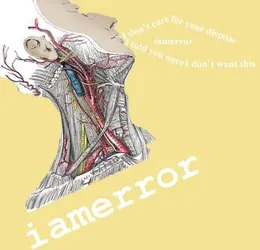I Don't Care for Your Distaste, I Told You Once I Don't Want This von iamerror – Album Cover