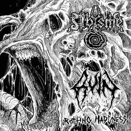 Rotting Madness von Abysme – Cover