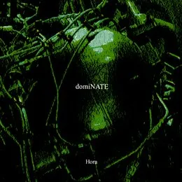domiNATE von Hora – Album Cover