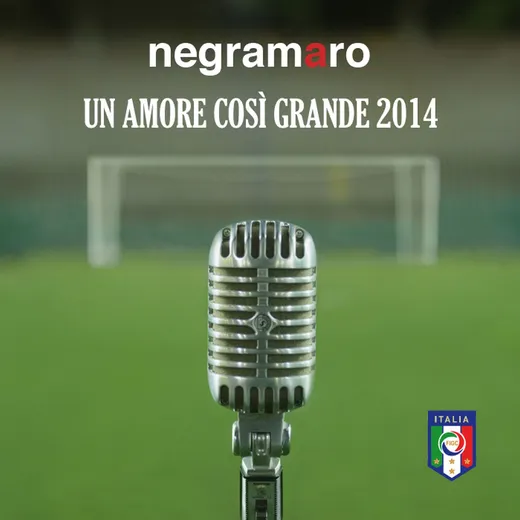 Un amore così grande 2014
