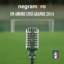 Un amore così grande 2014 von Negramaro – Cover