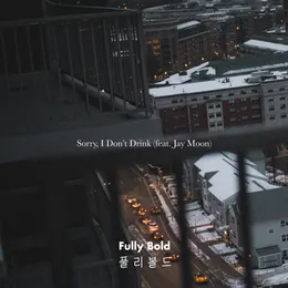 Sorry, I Don't Drink von Fully Bold – Cover