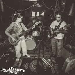 Slugfeast von Slugfeast – Album Cover