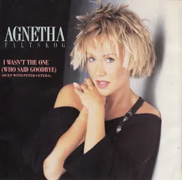 I Wasn't the One (Who Said Goodbye) von Peter Cetera – Cover