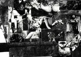 Fever Dreams von Human Larvae – Album Cover