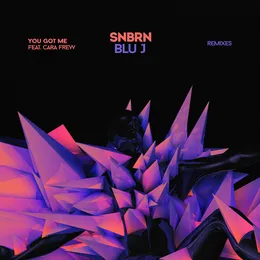 You Got Me (remixes) von SNBRN – Cover