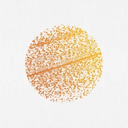 Beautiful Distortion von The Gathering – Album Cover