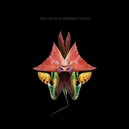 Unseen von Tony Buck – Album Cover