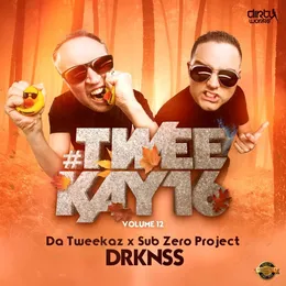 DRKNSS von Sub Zero Project – Album Cover