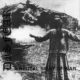 A Brutal Sight of War von Disfear – Album Cover
