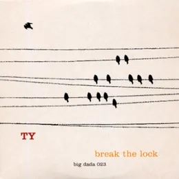 Break the Lock von Ty – Cover