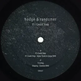 If I Could Stop von Randomer – Album Cover