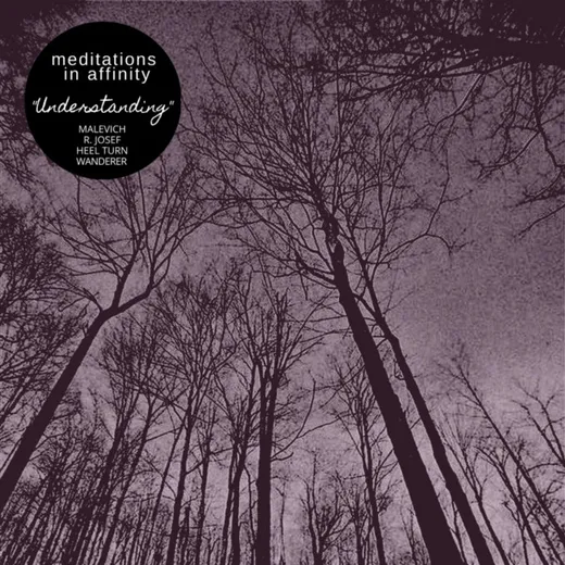 Meditations In Affinity: Understanding
