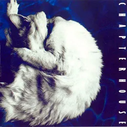 Whirlpool von Chapterhouse – Album Cover