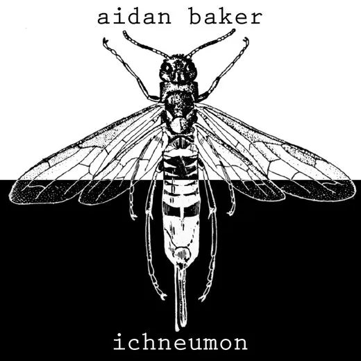 Ichneumon von Aidan Baker – Album Cover