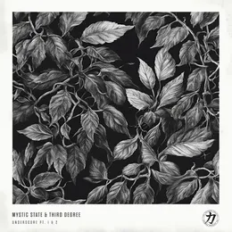 Underscore Pt. 1 & 2 von Third Degree – Cover