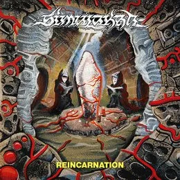 Reincarnation von Simulakra – Cover