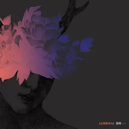 A Hermitage von 잠비나이 – Album Cover