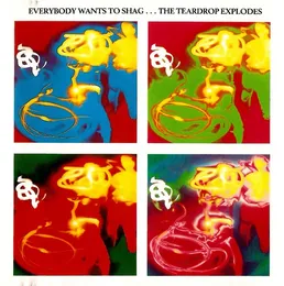 Everybody Wants to Shag… von The Teardrop Explodes – Album Cover