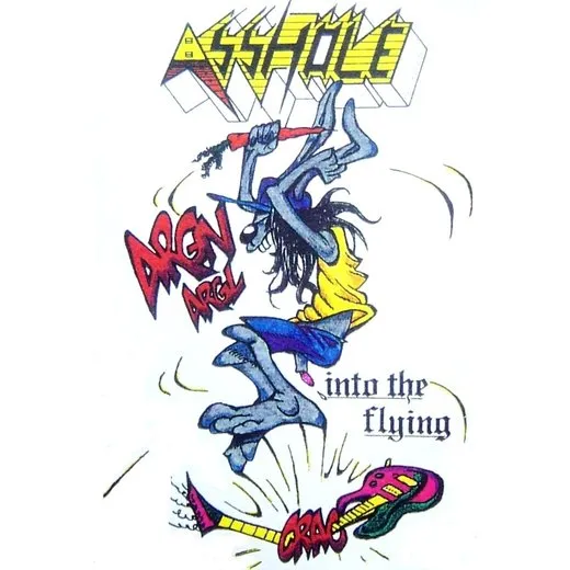 Into the Flying