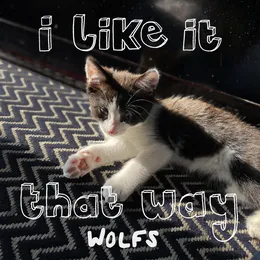 I Like It That Way von WOLFS – Cover