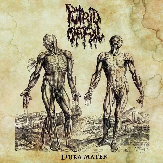 Dura Mater